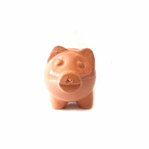 COCHINILLOBRILLO1