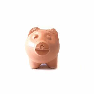 COCHINILLOMATE2